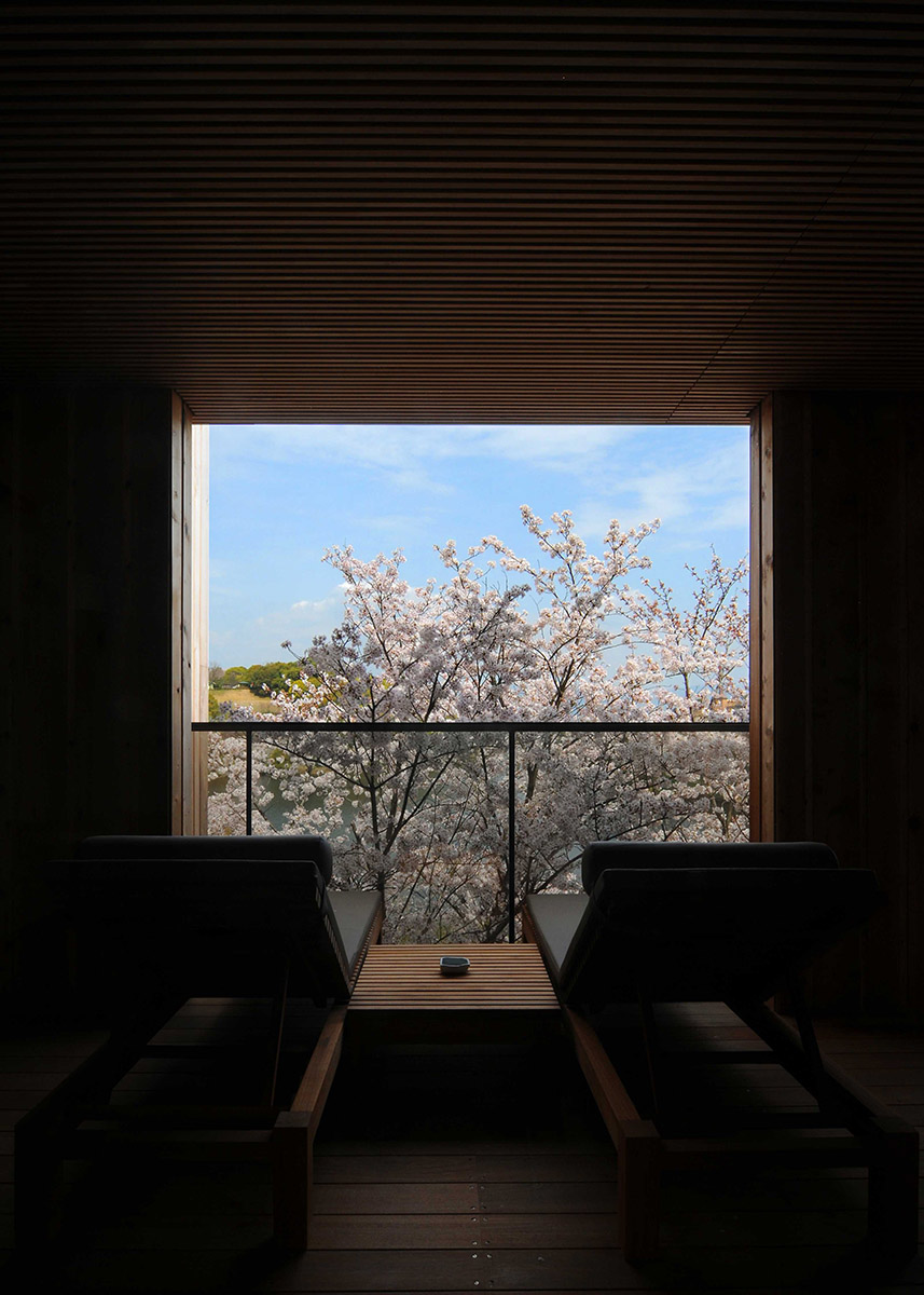 桜の見える客室